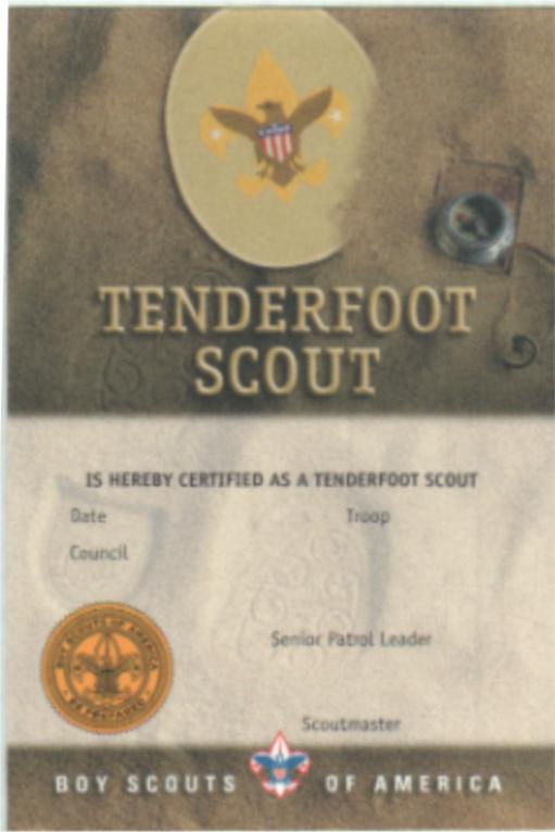 Tenderfoot Card